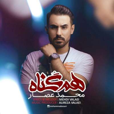 محمد عصار هم گناه